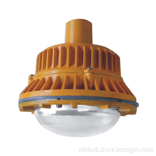 Induction Explosion Proof Light